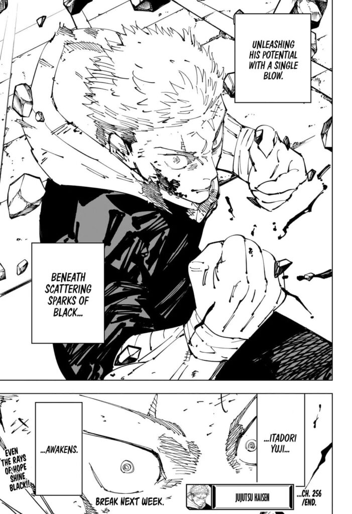 jjk chapter 256 19